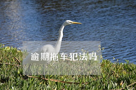 逾期拖车犯法吗 逾期拖车犯法吗
