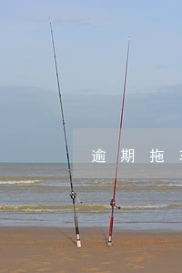 逾期拖车留的通知书