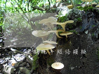 逾期拖车短信模板 逾期拖车短信模板