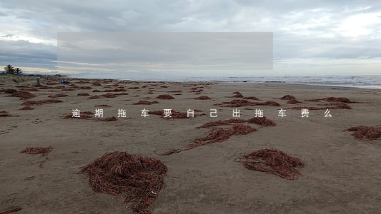 逾期拖车要自己出拖车费么 逾期拖车要自己出拖车费么