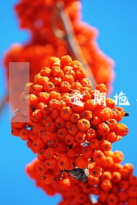 逾期拖车视频现场 逾期拖车视频现场
