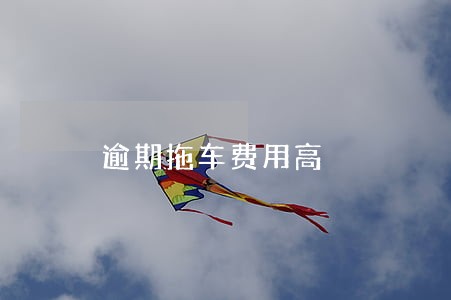 逾期拖车费用高 逾期拖车费用高
