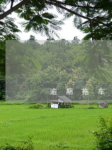逾期拖车违法么 逾期拖车违法么