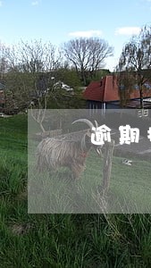 逾期拖车都停哪 逾期拖车都停哪