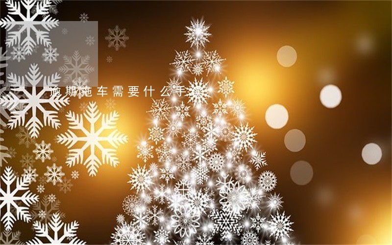 逾期拖车需要什么手续 逾期拖车需要什么手续
