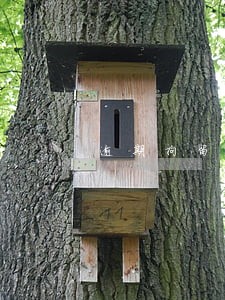 逾期拘留会带手铐吗 逾期拘留会带手铐吗