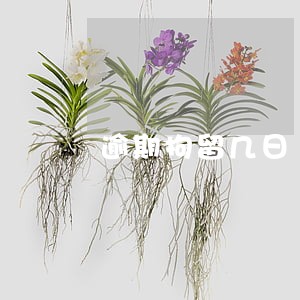 逾期拘留几日 逾期拘留几日
