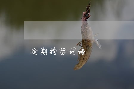 逾期拘留词语 逾期拘留词语
