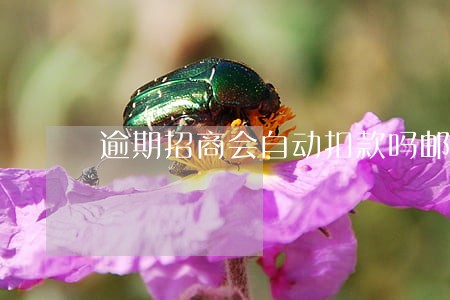 逾期招商会自动扣款吗邮政 逾期招商会自动扣款吗邮政