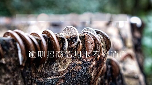 逾期招商信用卡不给销户