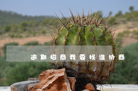 逾期招商我要找谁协商 逾期招商我要找谁协商