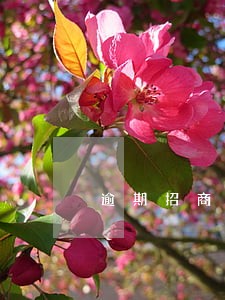 逾期招商银行信用卡收到文件 逾期招商银行信用卡收到文件
