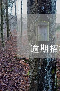 逾期招标押金税务处理 逾期招标押金税务处理
