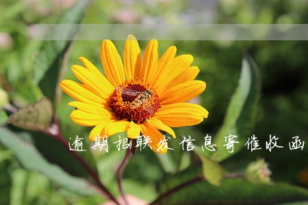 逾期招联发信息寄催收函 逾期招联发信息寄催收函