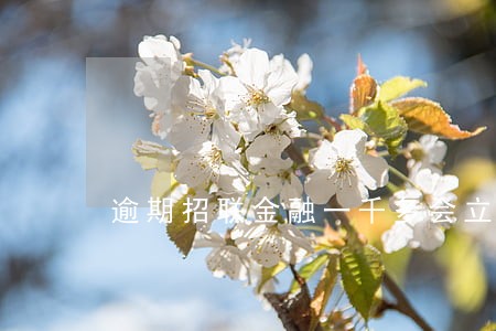 逾期招联金融一千多会立案吗 逾期招联金融一千多会立案吗