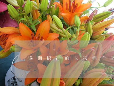 逾期招行的卡被销户了 逾期招行的卡被销户了