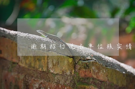 逾期招行说去单位核实情况