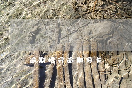 逾期招行逾期停卡