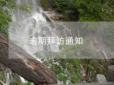 逾期拜访通知