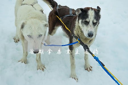 逾期拿房业主违约 逾期拿房业主违约