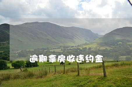 逾期拿房收违约金 逾期拿房收违约金