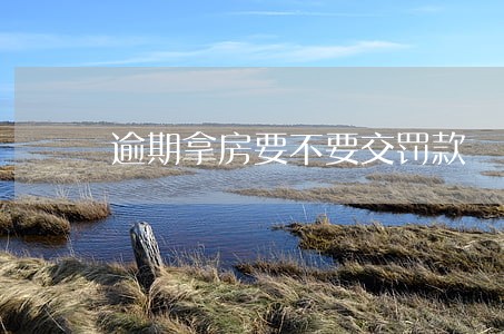 逾期拿房要不要交罚款 逾期拿房要不要交罚款