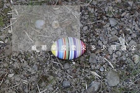 逾期拿房要交多少滞纳金 逾期拿房要交多少滞纳金
