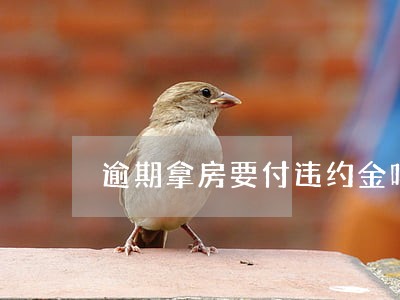 逾期拿房要付违约金吗 逾期拿房要付违约金吗