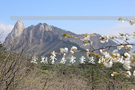 逾期拿房需要违约金吗 逾期拿房需要违约金吗
