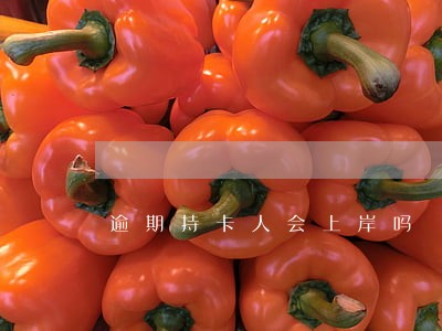 逾期持卡人会上岸吗 逾期持卡人会上岸吗