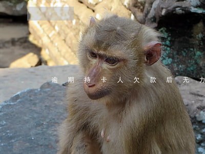 逾期持卡人欠款后无力偿还 逾期持卡人欠款后无力偿还