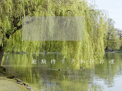 逾期持卡户如何办理 逾期持卡户如何办理
