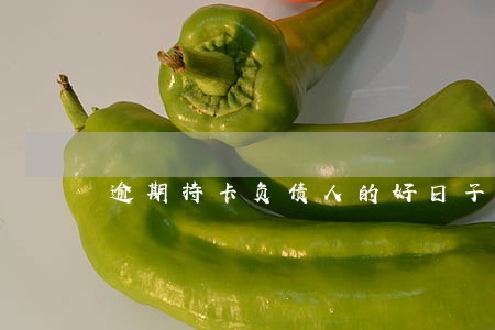 逾期持卡负债人的好日子 逾期持卡负债人的好日子