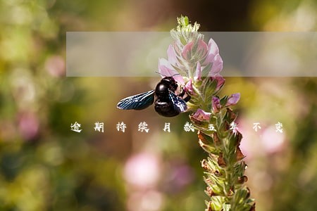 逾期持续月数五年不变 逾期持续月数五年不变