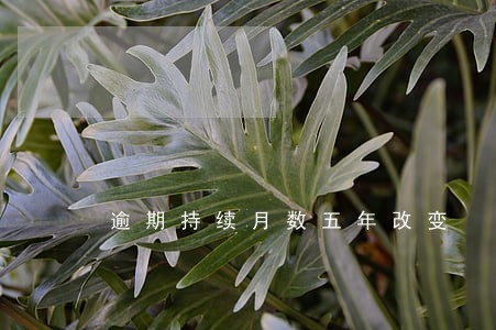 逾期持续月数五年改变 逾期持续月数五年改变