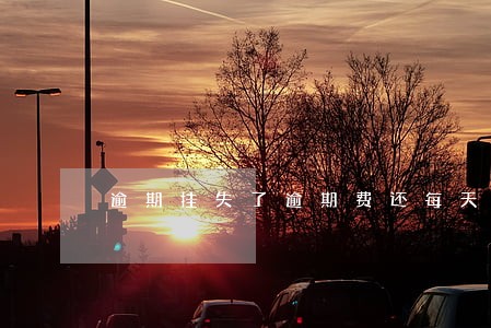 逾期挂失了逾期费还每天有吗 逾期挂失了逾期费还每天有吗