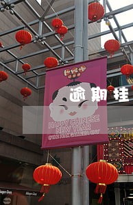 逾期挂网执行是什么意思 逾期挂网执行是什么意思