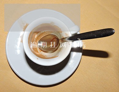逾期挂网通告 逾期挂网通告