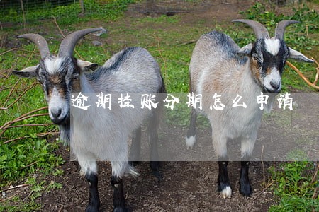 逾期挂账分期怎么申请 逾期挂账分期怎么申请