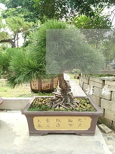 逾期挂账是违法的吗 逾期挂账是违法的吗