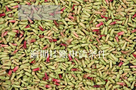 逾期挂账申请条件 逾期挂账申请条件