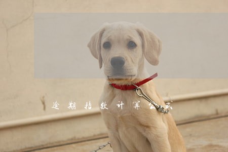 逾期指数计算公式 逾期指数计算公式