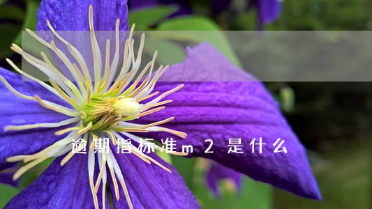 逾期指标准m2是什么 逾期指标准m2是什么