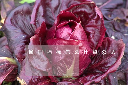 逾期指标怎么计算公式 逾期指标怎么计算公式