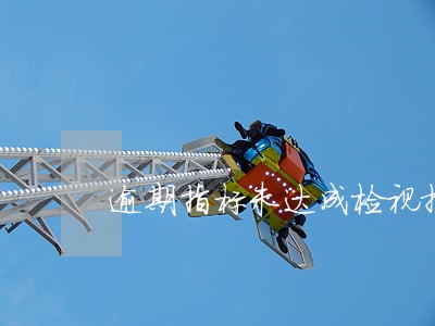 逾期指标未达成检视报告 逾期指标未达成检视报告