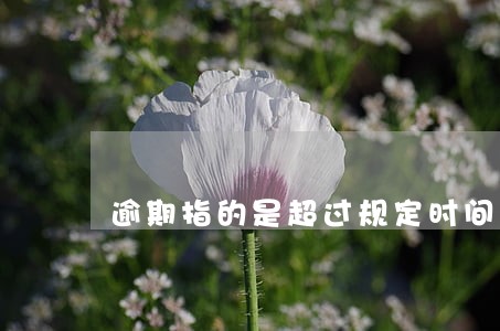 逾期指的是超过规定时间 逾期指的是超过规定时间