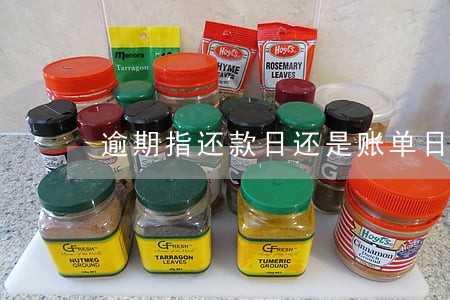 逾期指还款日还是账单日 逾期指还款日还是账单日