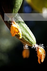 逾期按一年期同期贷款利率 逾期按一年期同期贷款利率