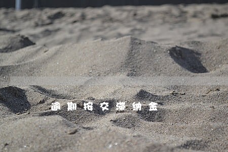逾期按交滞纳金 逾期按交滞纳金