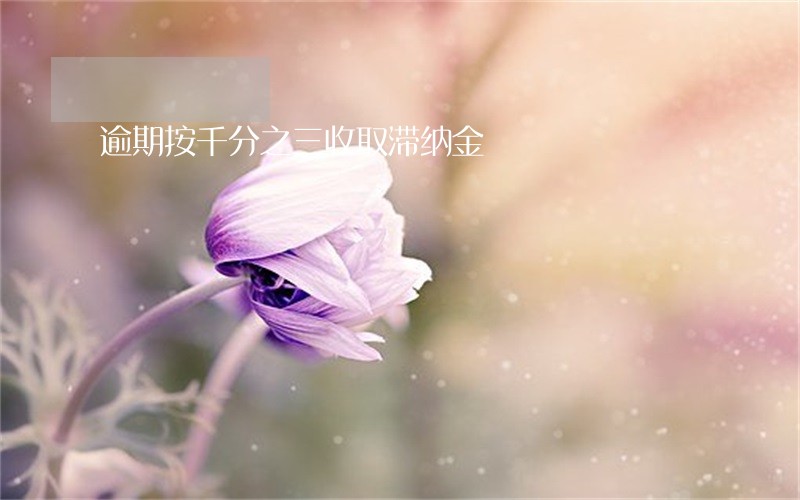 逾期按千分之三收取滞纳金 逾期按千分之三收取滞纳金